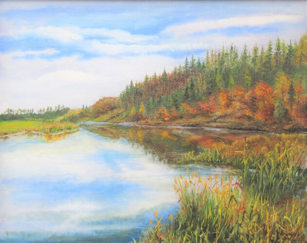 Rybník Kočičák, Mohelno 50x40