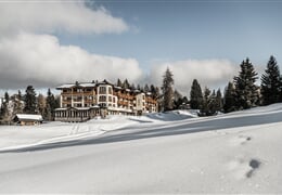 Hotel Steger-Dellai **** - Alpe di Siusi