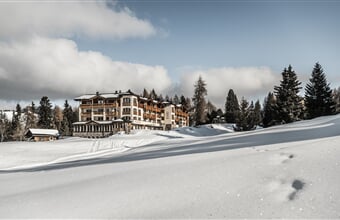 Hotel Steger-Dellai **** - Alpe di Siusi