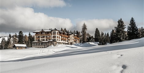 Hotel Steger-Dellai **** - Alpe di Siusi