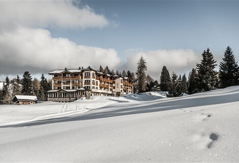 Hotel Steger-Dellai **** - Alpe di Siusi