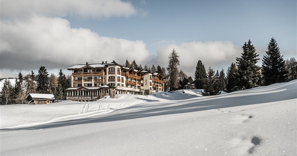 Hotel Steger Dellai, Alpe di Siusi (hotel) (1)