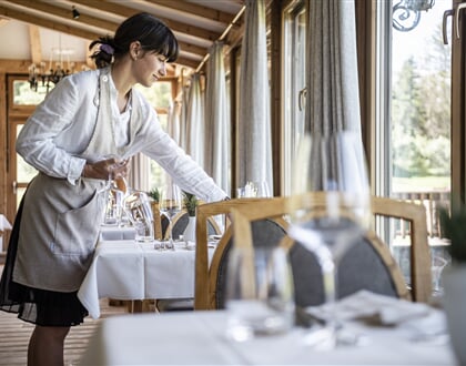 Hotel Steger Dellai, Alpe di Siusi (hotel) (19)