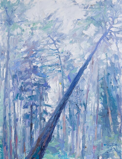 Sklánící se kmen s pavučinou