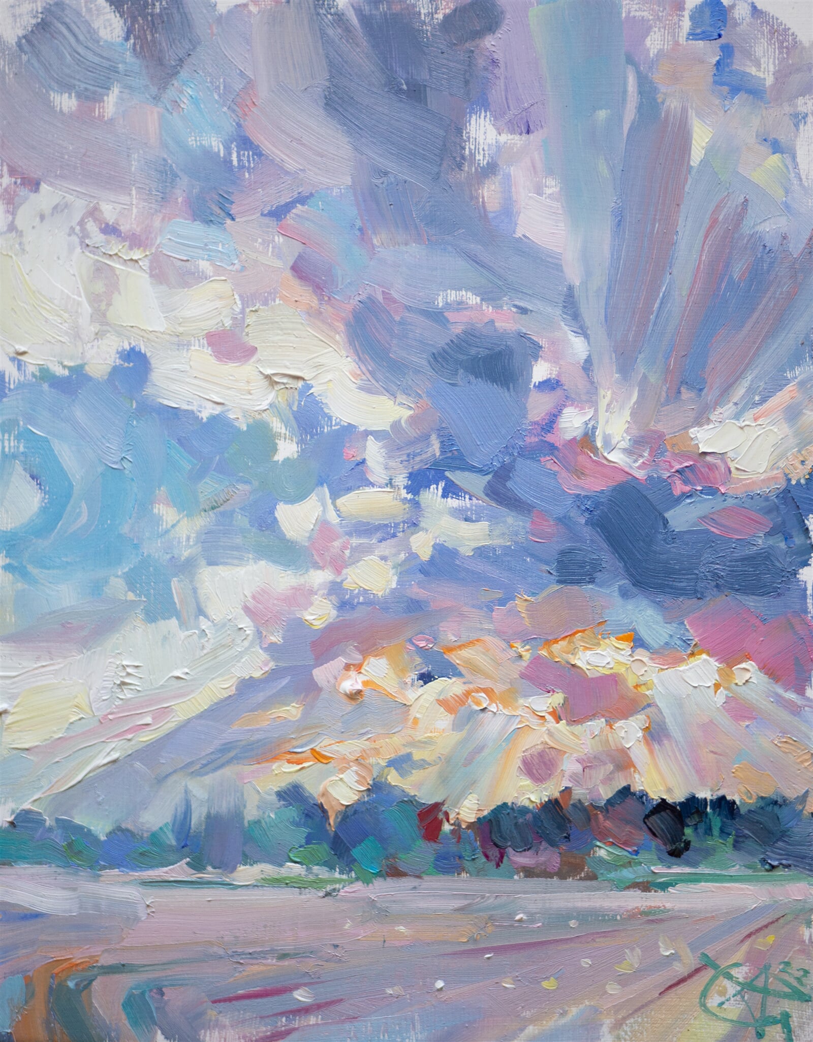 Adéla Topolová: Mraková záclona, 23 × 18 cm