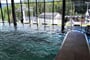 Hotel SNP 9