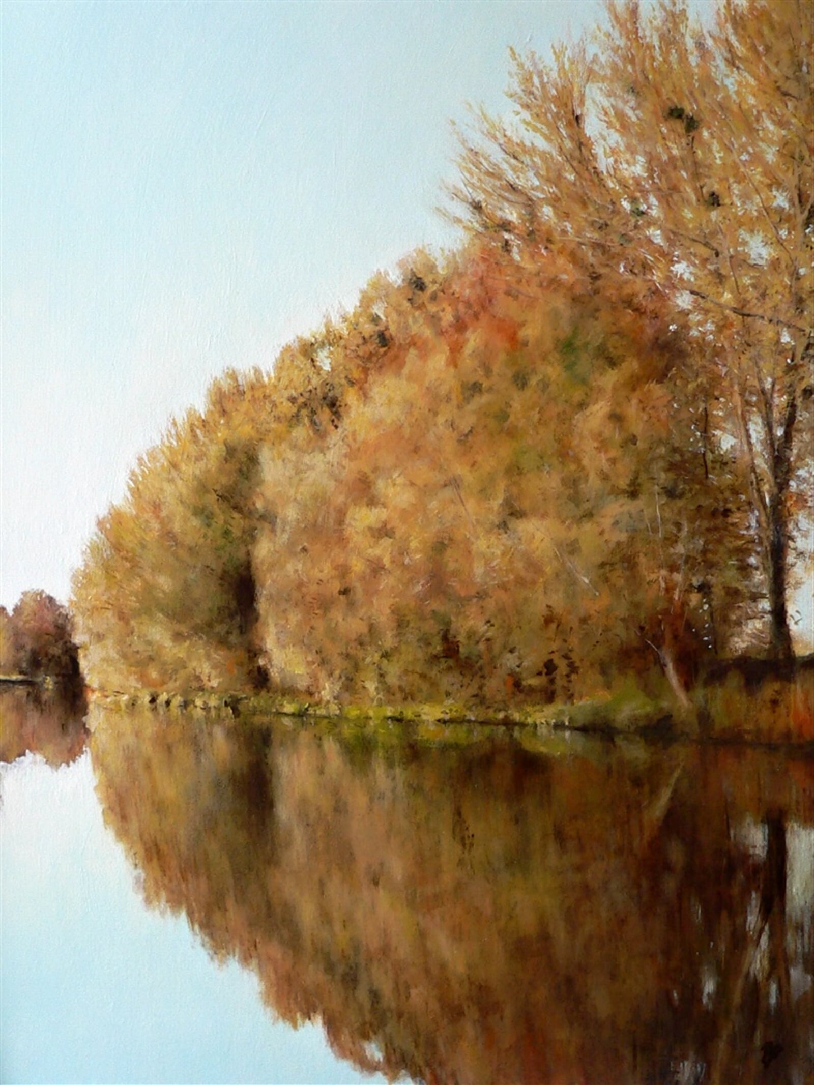 Richard Tribula: Podzimní Dyje, 65 × 50 cm