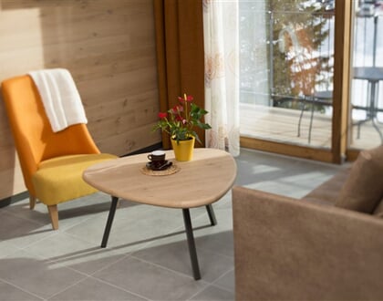Rezidence Red Fox Lodge, Cervinia (6)
