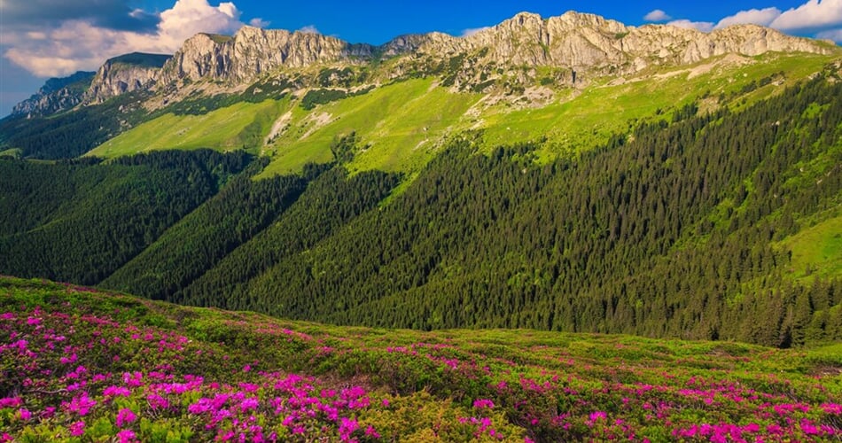 Rumunsko - pohoří Bucegi