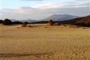 Patara 03