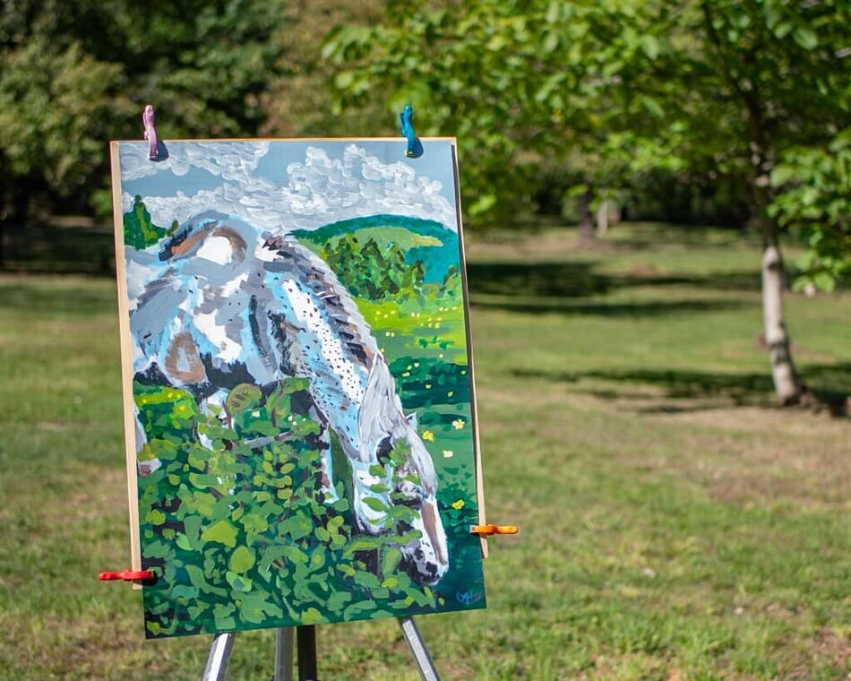 IMG 20190921 194333 093