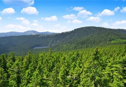 Šumava – Volary: Jezera, Horské Výhledy A Renesance