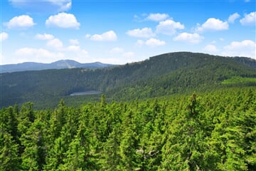 Šumava – Volary: Jezera, Horské Výhledy A Renesance