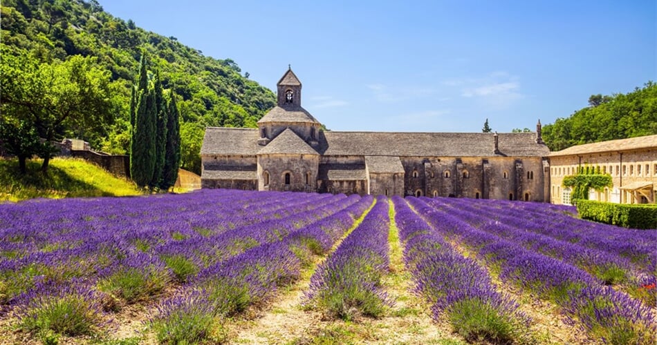 Francie - Provence - Abbaye de Senanque