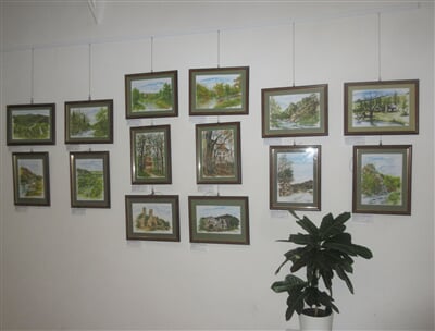 IMG 7969