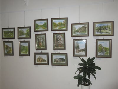 IMG 7969