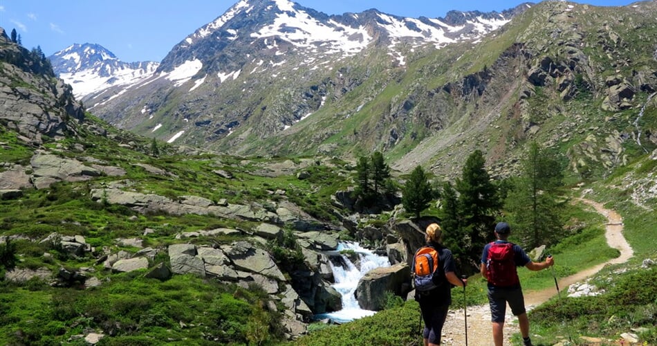 NP Gran Paradiso 8