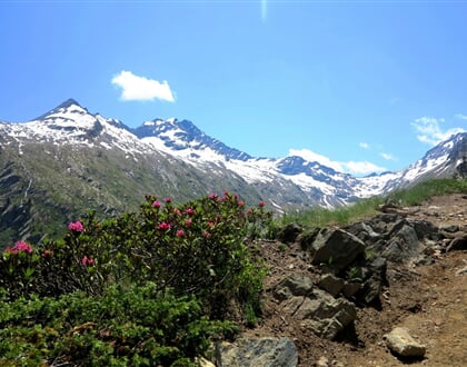 NP Gran Paradiso 12