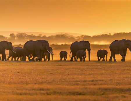 Poslední místa na zájezdech