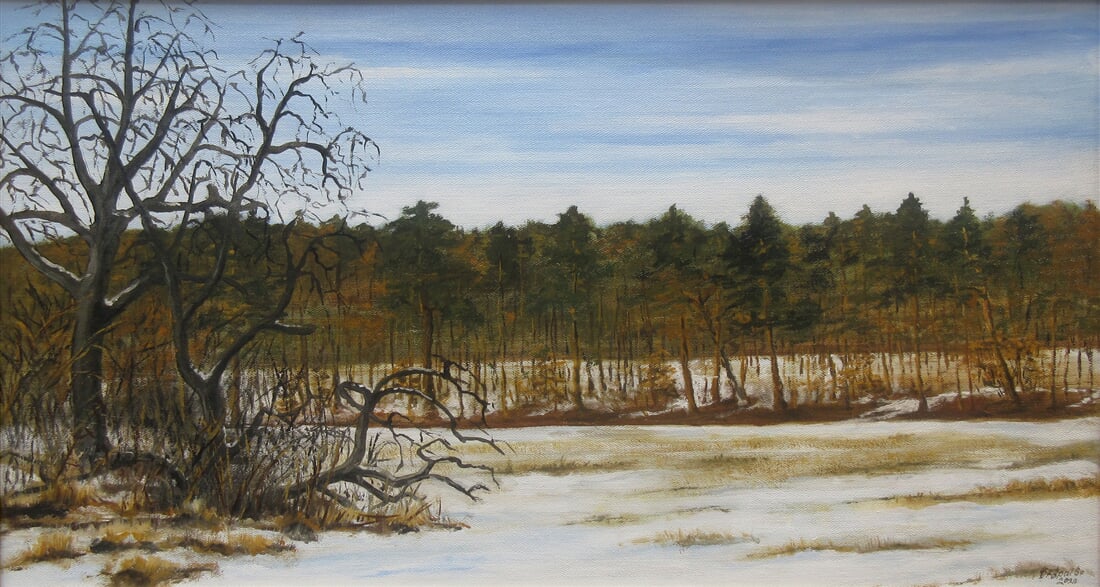 Zima pomalu končí  73x40