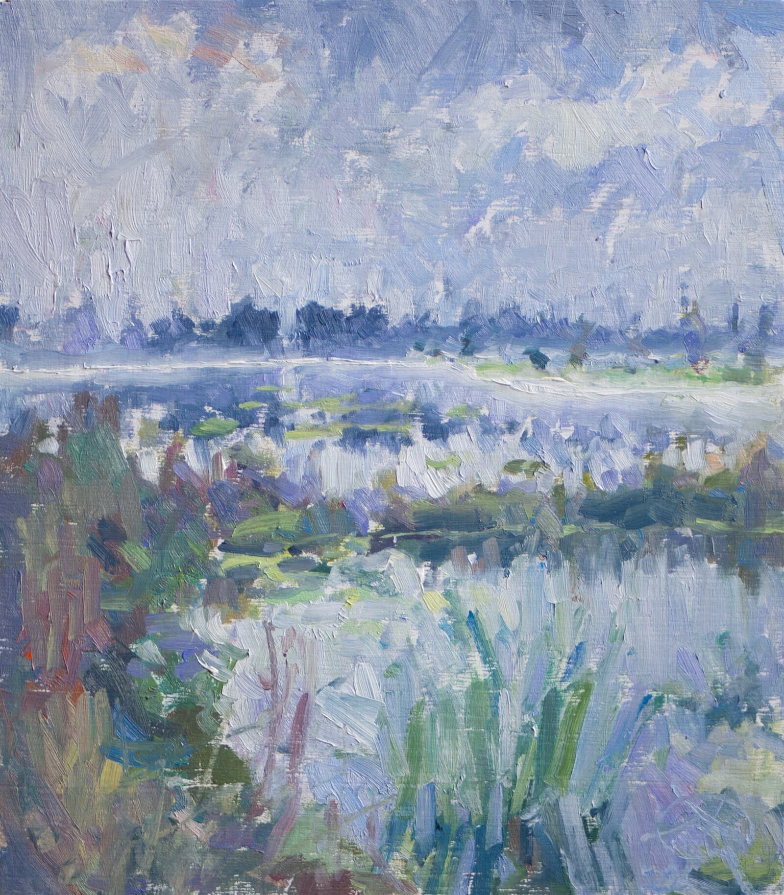 Adéla Topolová: Proužek mlhy, 24 × 21 cm