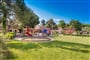 Apartments Amfora