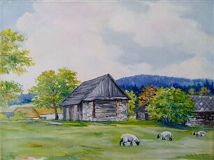 Kořenec