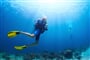 San marino resort diving