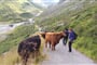 Pitztal   Silvreta   4
