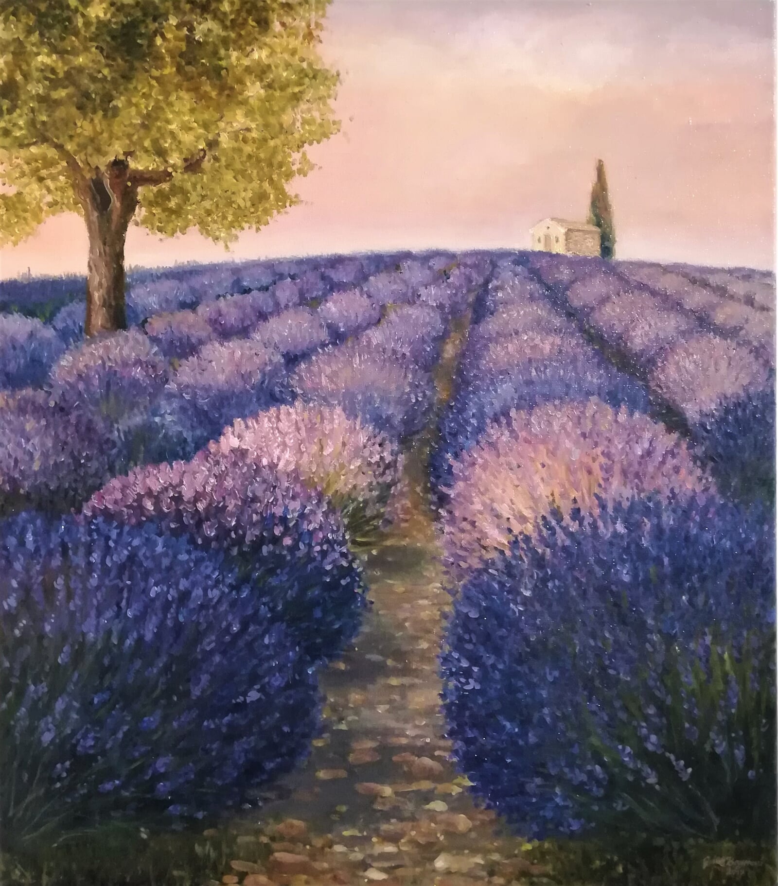 Jana Bayerová: Levandule v Aix, 90 × 70 cm