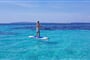 Paddle board