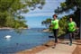 Punta run
