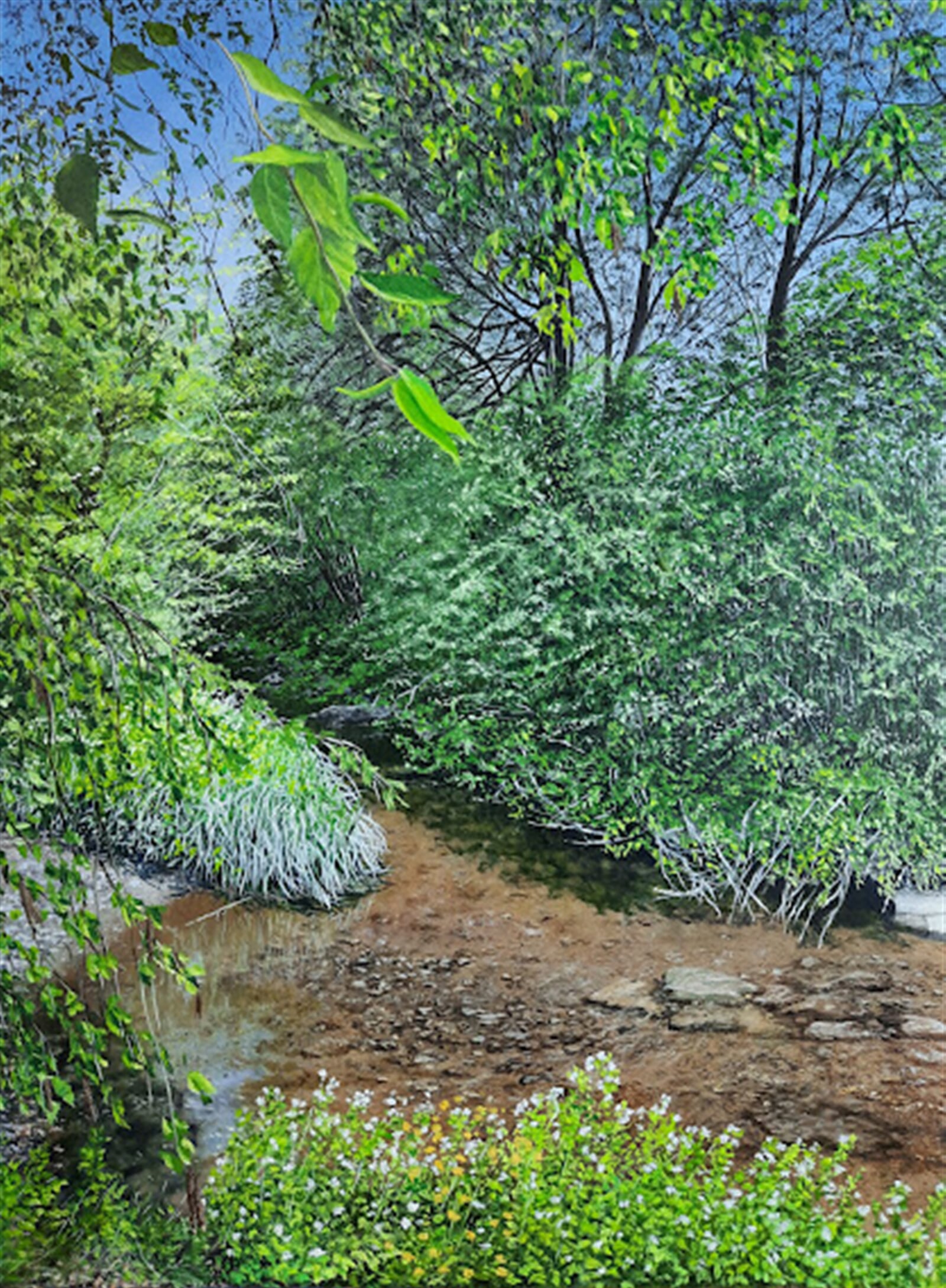 Kamila Hajdušková: Jarní pohled do říčky Olešné, 40 × 30 cm