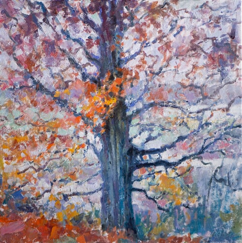 Tree of the Wind and the Rain