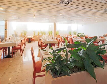 Hotel Orsan (5)
