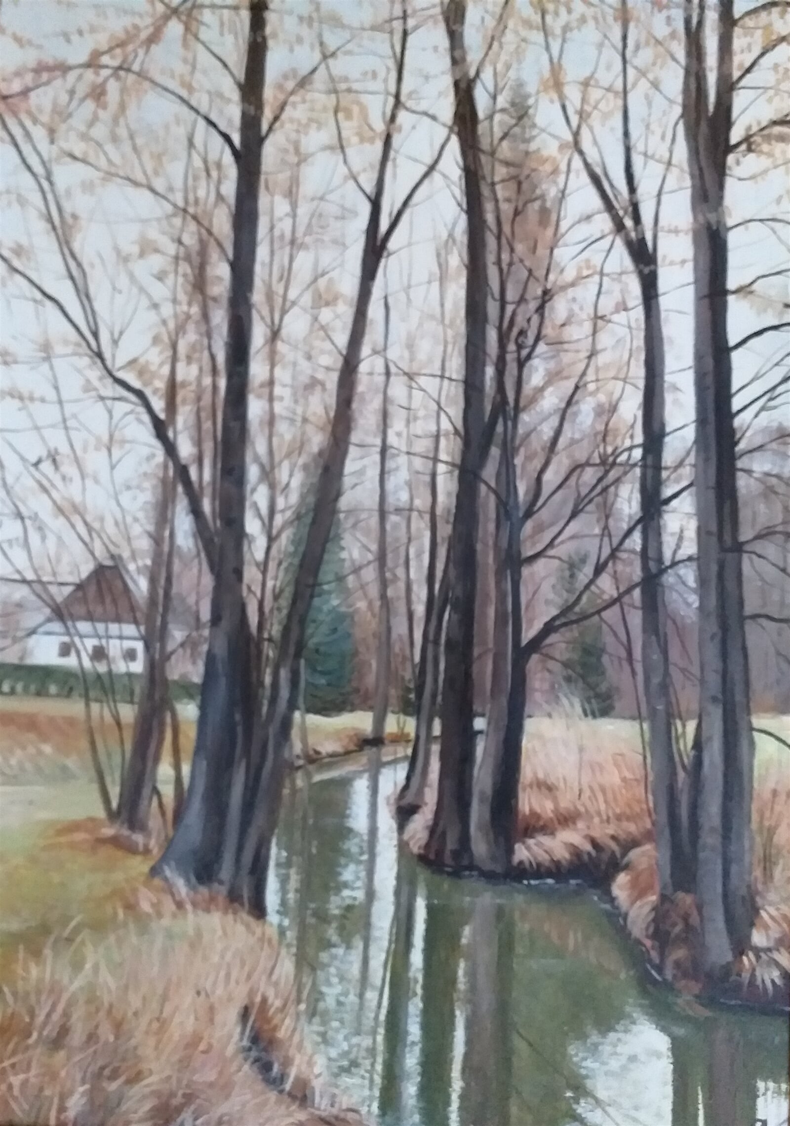 Dana Pacáková: Potok, 70 × 50 cm