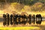 Foto - Victoria Falls & rezervace Hwange - prodloužení