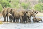 Foto - Victoria Falls & Chobe NP & delta Okavanga