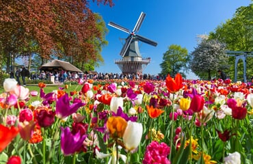 Květinový park Keukenhof a procházka Amsterdamem