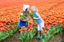 Velikonoční Keukenhof1
