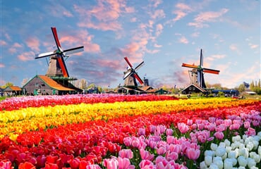 Květinový park Keukenhof a procházka Amsterdamem
