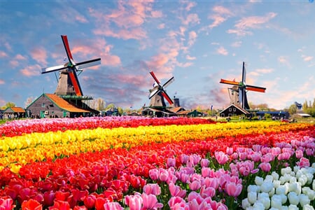 Květinový park Keukenhof a procházka Amsterdamem