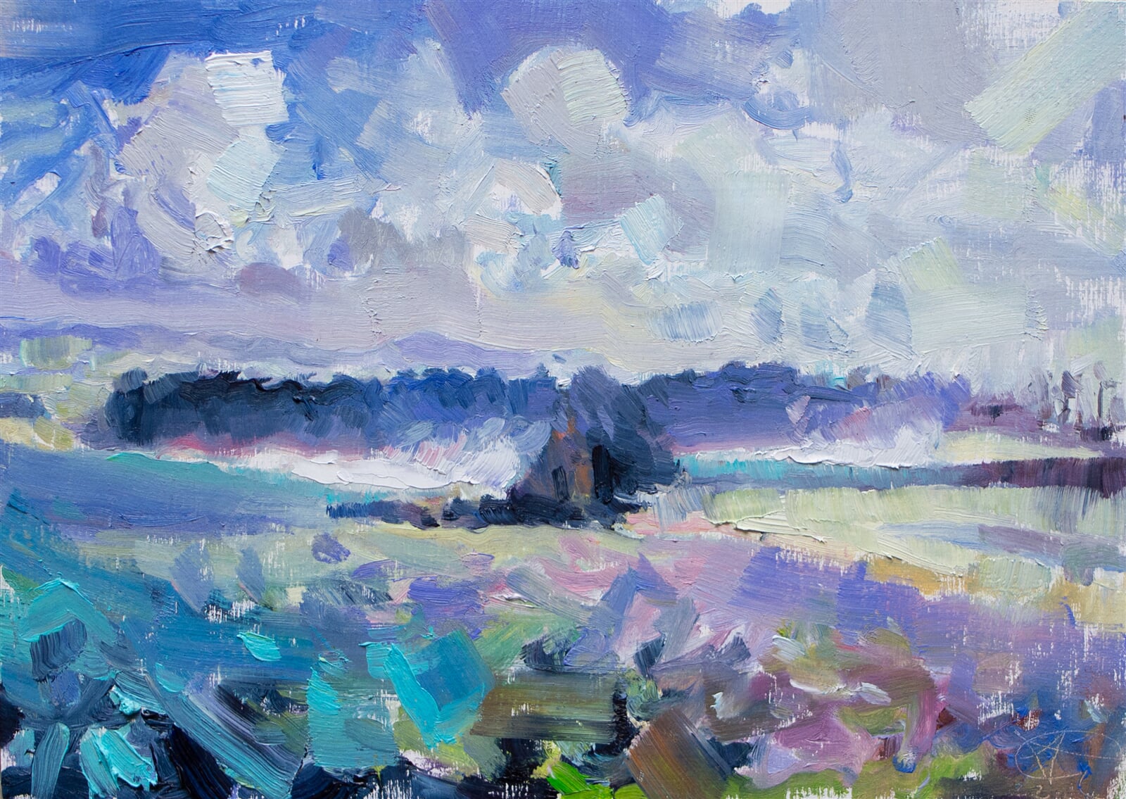 Adéla Topolová: Poslední mlha, 15 × 21 cm