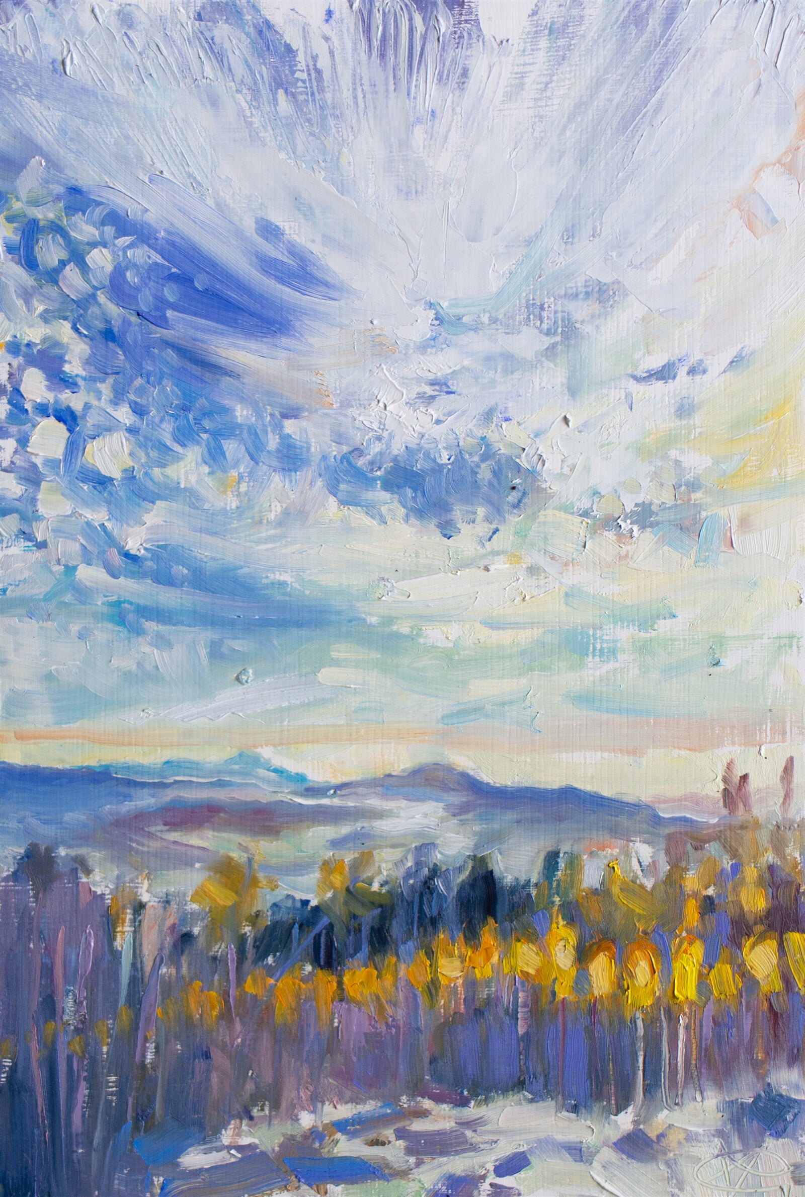 Adéla Topolová: Obloha nad zemí, 28 × 19 cm