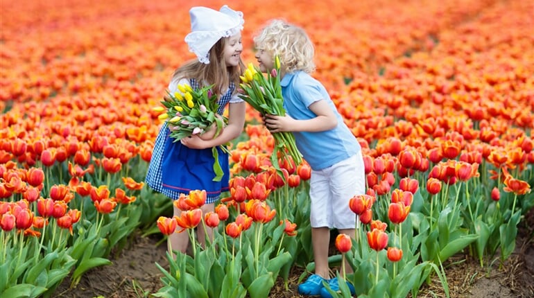 Velikonoční Keukenhof3