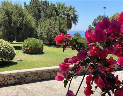 Zahrada v rezidenci, Teulada, Sardinie