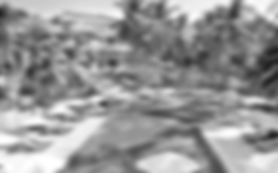 Amaryllis Resort