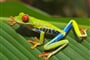Foto - Nikaragua - Kostarika - Panama