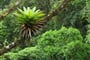 Foto - Nikaragua - Kostarika - Panama