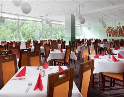 Behounek Bellevue restaurace 07 067